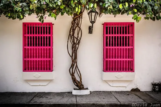 El blanco como un color puro y mágico para exteriores